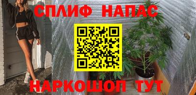бошки Будённовск