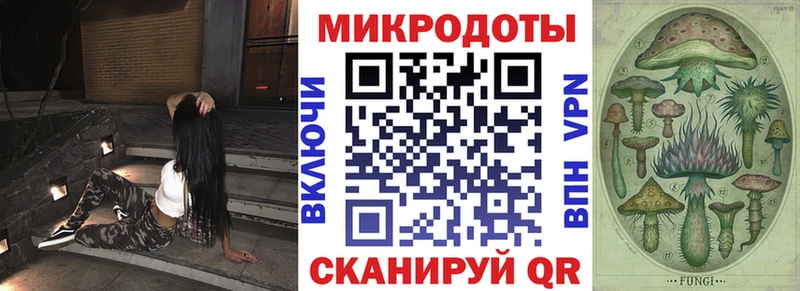 Псилоцибиновые грибы Psilocybe ссылка на мегу ССЫЛКА Жуковский купить
