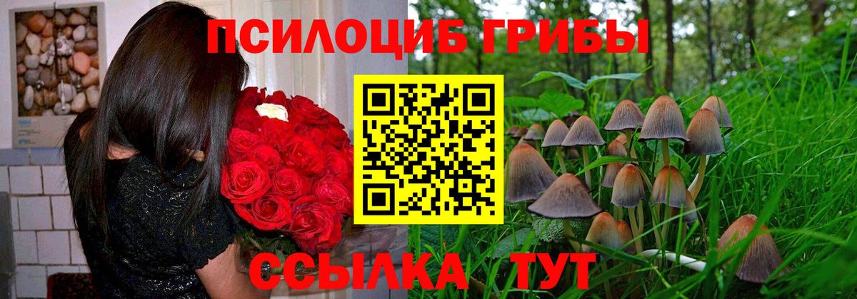 Галлюциногенные грибы Psilocybe  Вход с VPN  Псилоцибиновые грибы ЛСД  Жуковский 